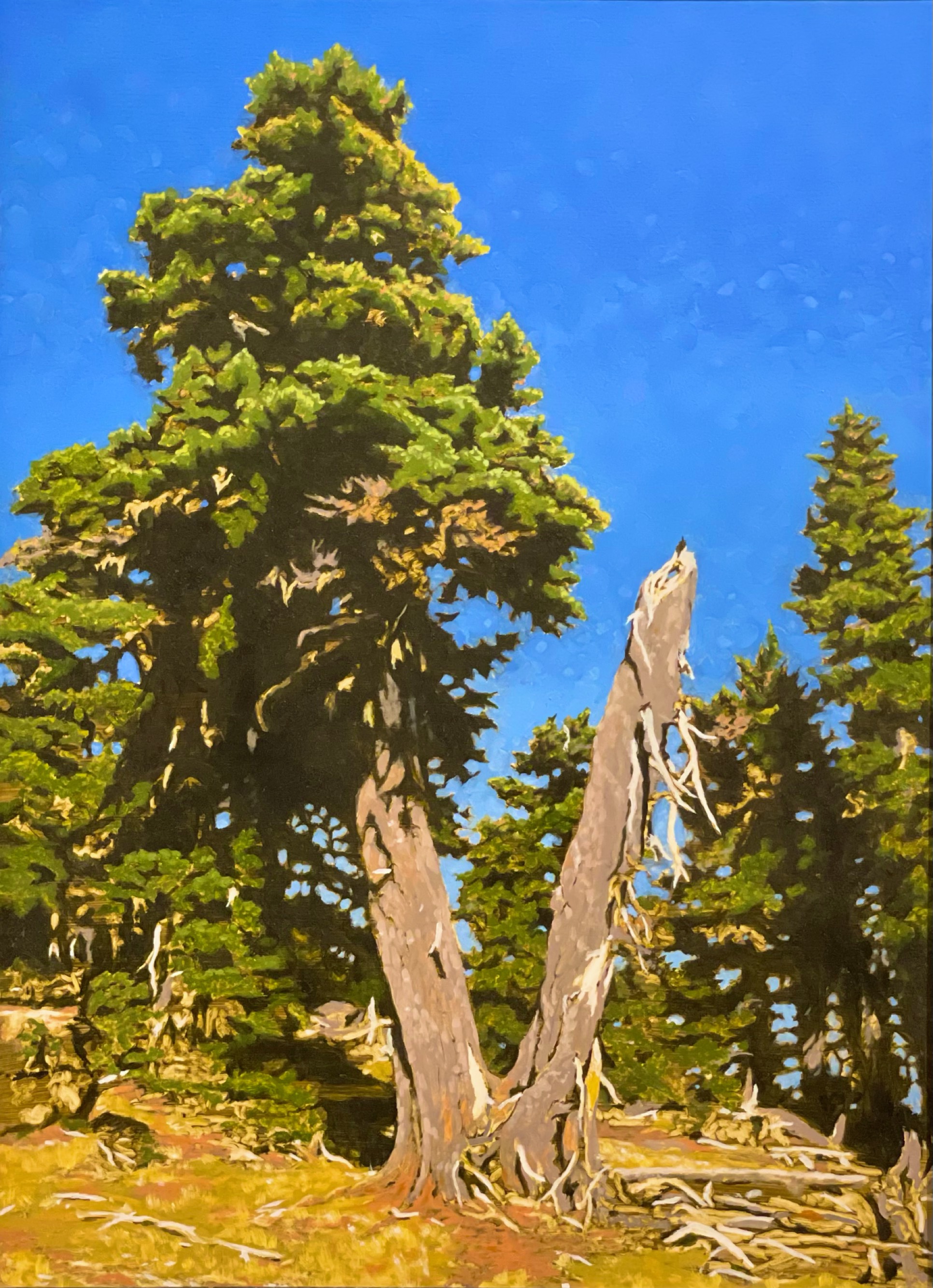 Brothers On The Ridge